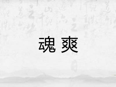 魂爽