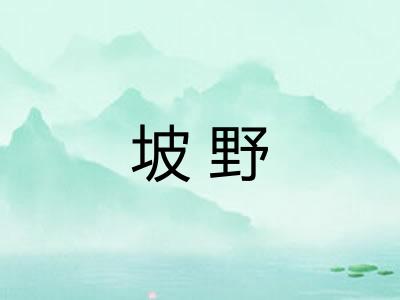 坡野