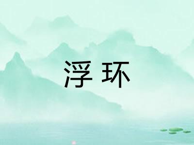 浮环