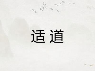 适道