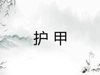护甲