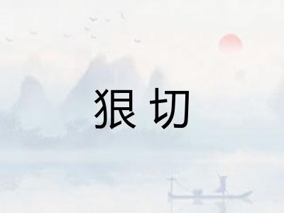 狠切
