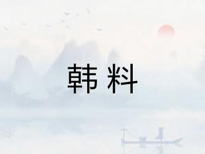 韩料
