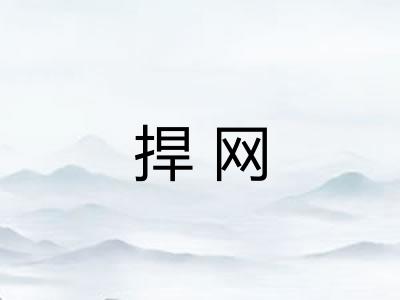 捍网