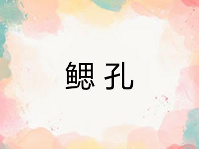 鳃孔