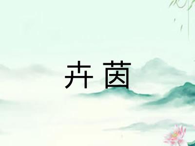 卉茵