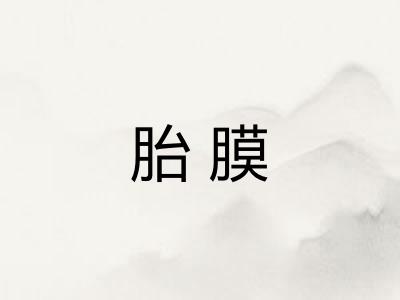胎膜