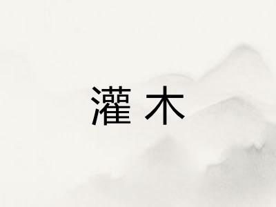 灌木