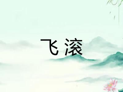飞滚