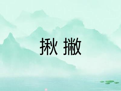 揪撇