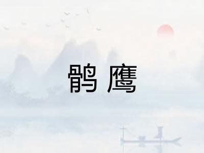 鹘鹰