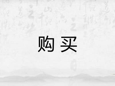 购买