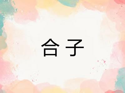 合子