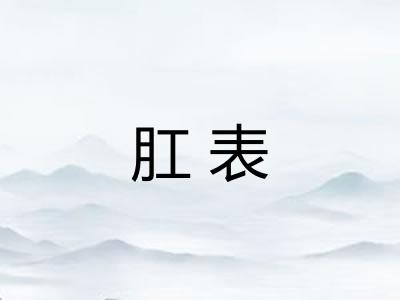肛表
