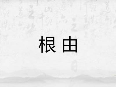 根由