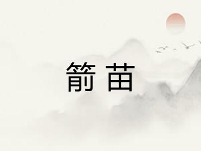 箭苗
