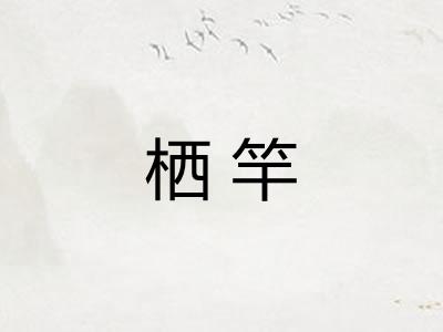 栖竿
