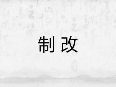 制改