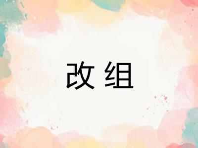 改组