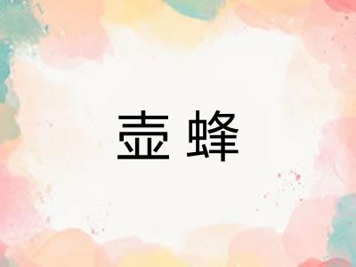 壶蜂