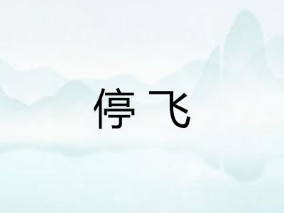 停飞