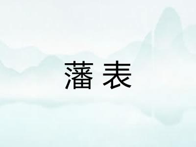 藩表