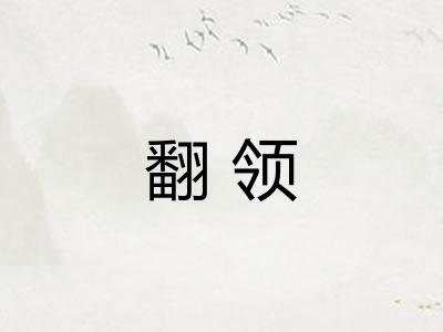 翻领