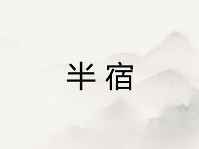 半宿