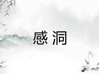 感洞
