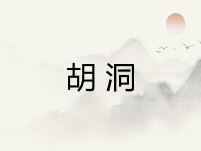 胡洞