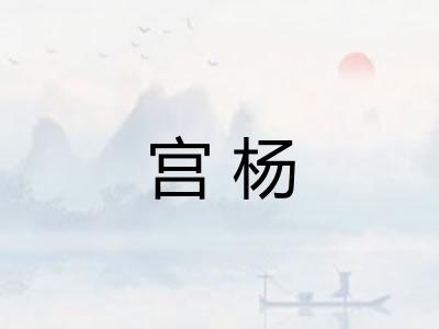宫杨