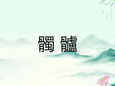 髑髗