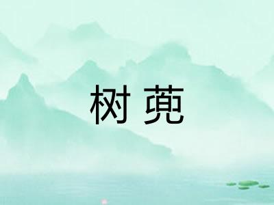 树蔸