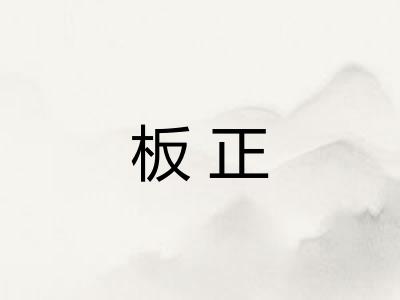 板正