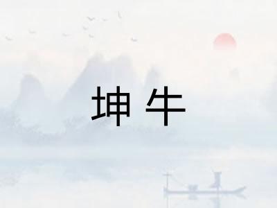 坤牛