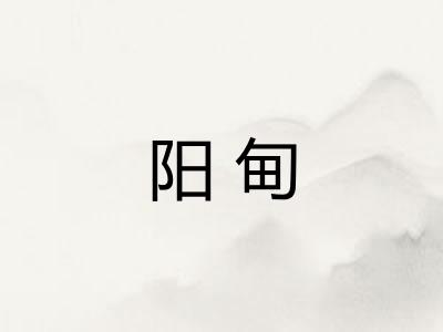 阳甸