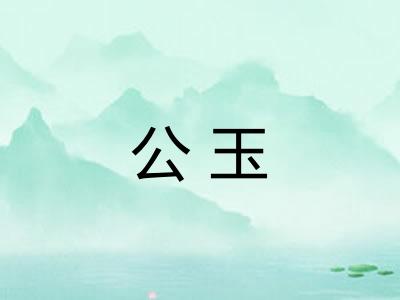 公玉