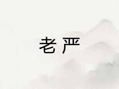 老严