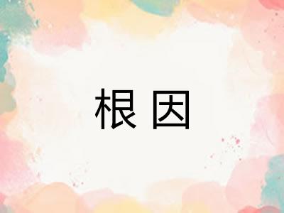 根因