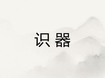 识器