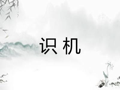 识机
