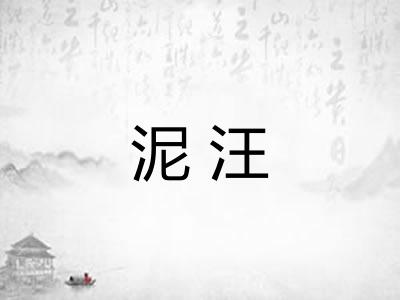 泥汪