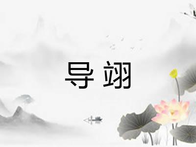 导翊