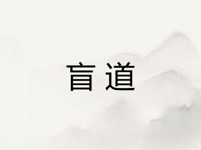盲道