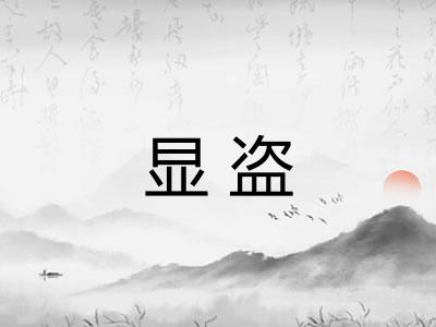 显盗
