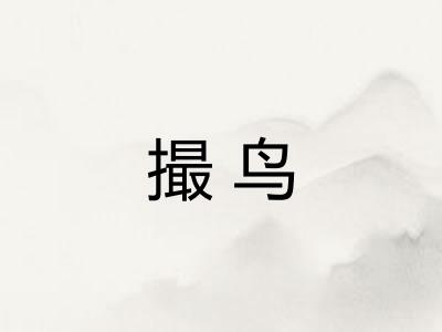 撮鸟
