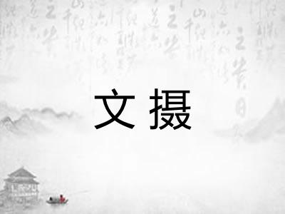 文摄