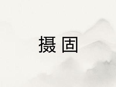 摄固