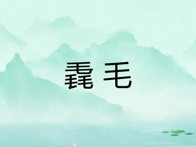 毳毛