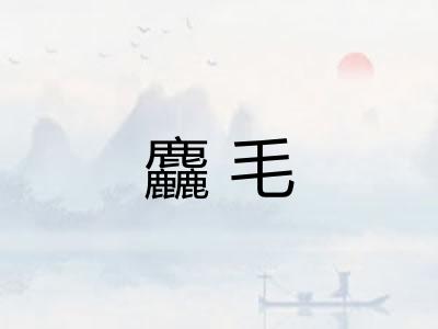 麤毛